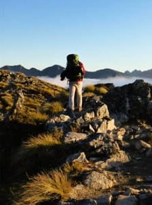 aifs-neuseeland-work-and-travel-person-rucksack