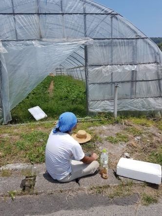 Adnans Farmwork Erfahrungen in Japan mit AIFS