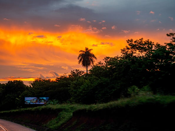 AIFS-Farmwork-Costa Rica-ESPARZA