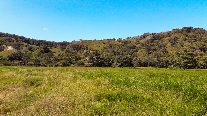 AIFS-Farmwork-Costa Rica-Grazing land