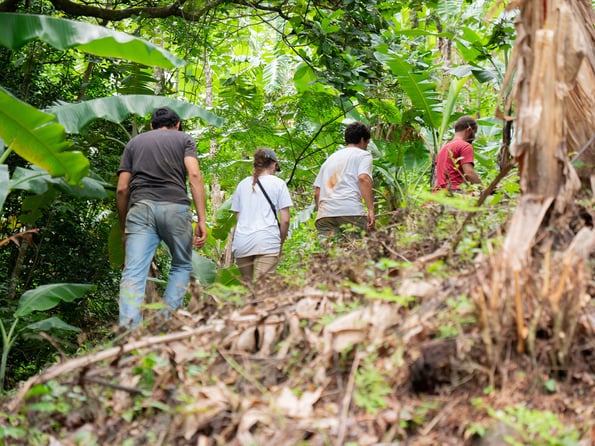 AIFS-Farmwork-Costa-Rica-Gruppe-Wald-Volunteers