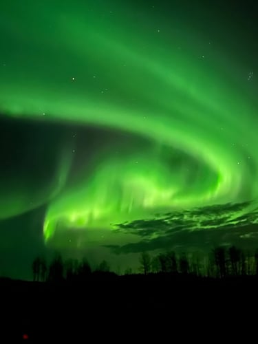 ugc-work and travel-kanada-levib-gruene polarlichter