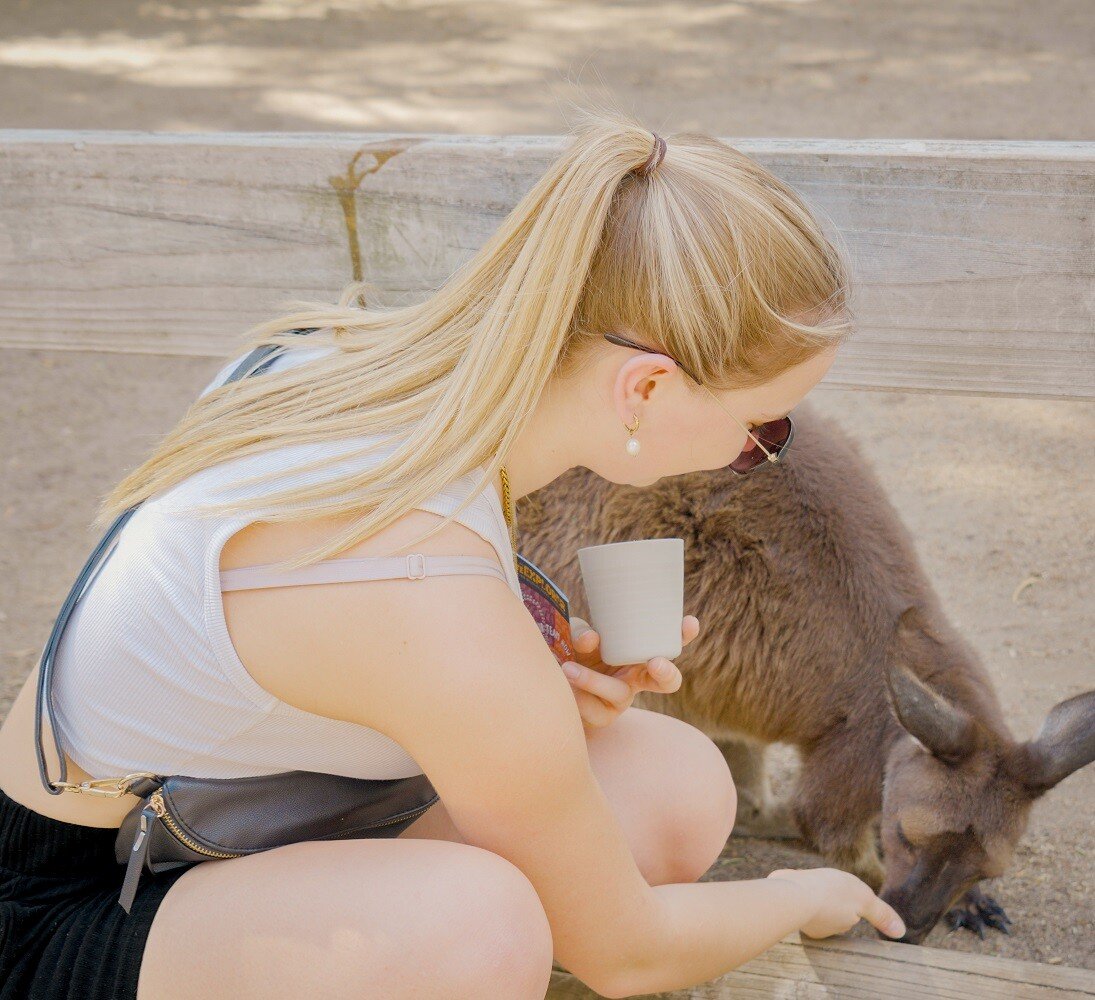 aifs-schueleraustausch-australien-orientation-days-blue-mountains-wildlife-park