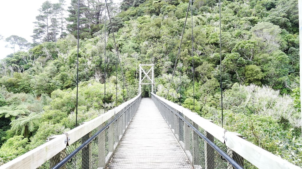 aifs-studieren-in-neuseeland-victoria-university-wellington-natur-bruecke-1-quadratisch-1024x1024