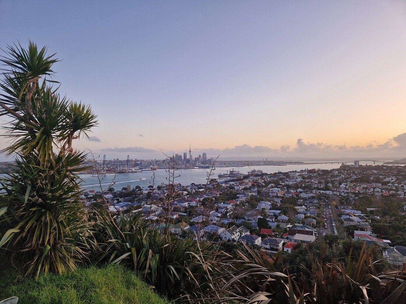 aifs-work-and-travel-neuseeland-aussicht-auckland